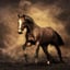 Sajad Torkamani's user avatar